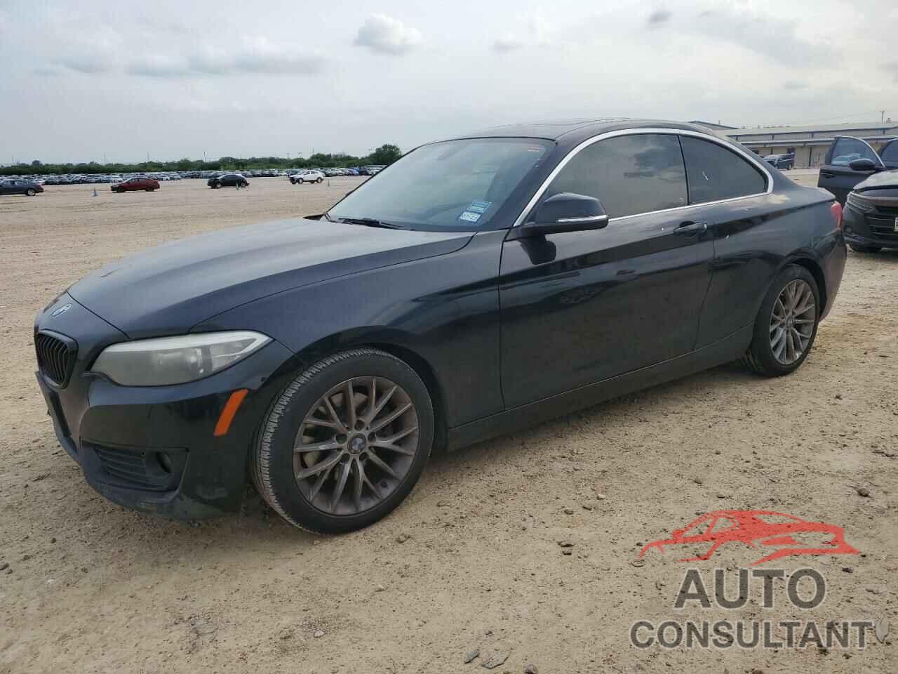 BMW 2 SERIES 2014 - WBA1F5C58EV255817