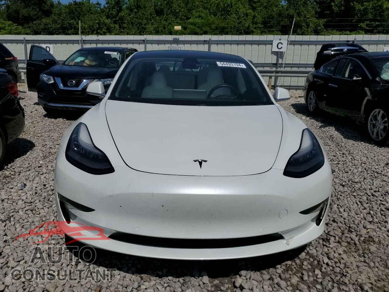 TESLA MODEL 3 2019 - 5YJ3E1EB4KF407015