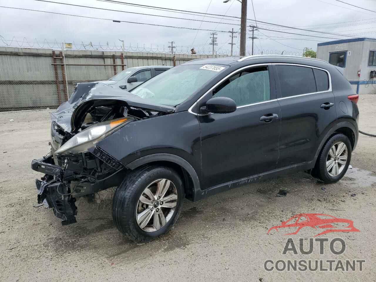 KIA SPORTAGE 2018 - KNDPM3ACXJ7413307