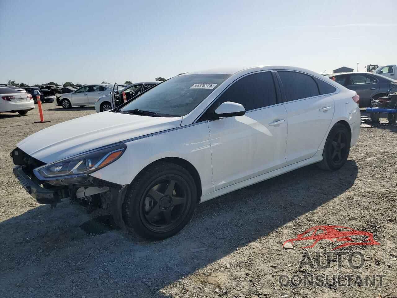 HYUNDAI SONATA 2019 - 5NPE24AF5KH817481