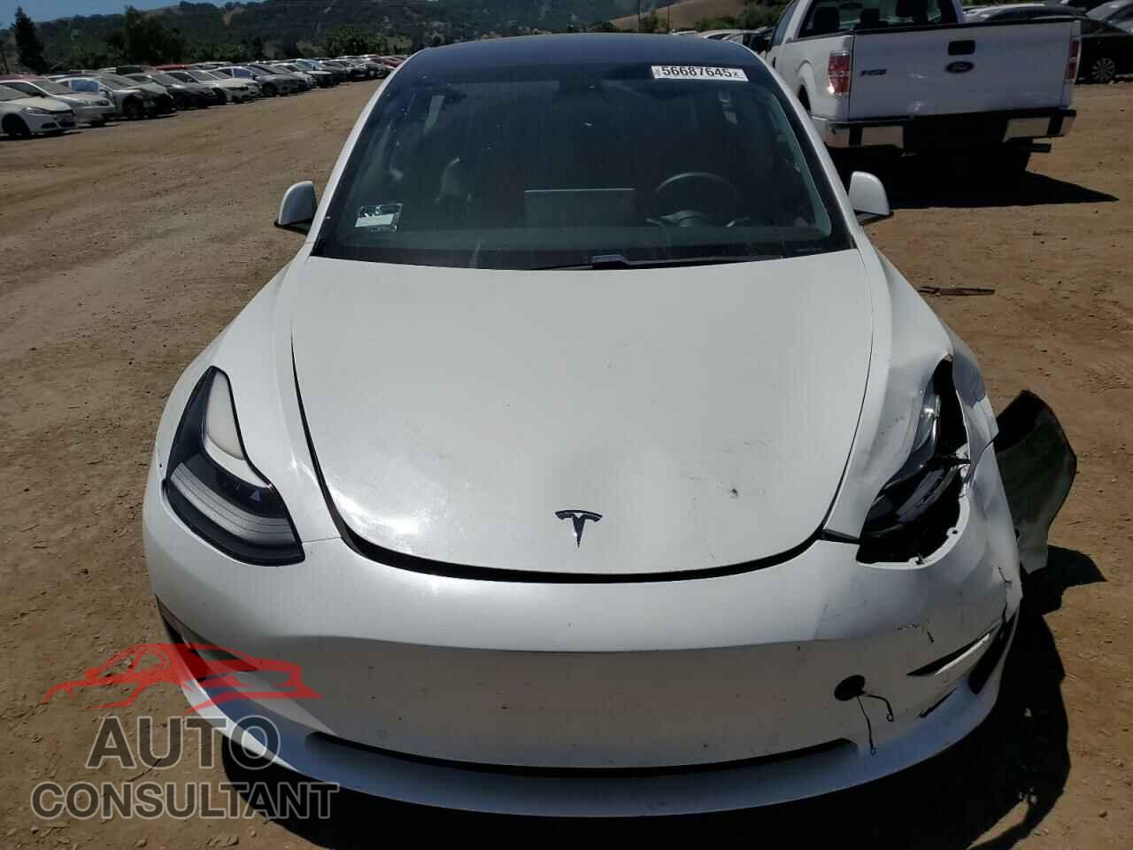 TESLA MODEL 3 2021 - 5YJ3E1EA3MF074879