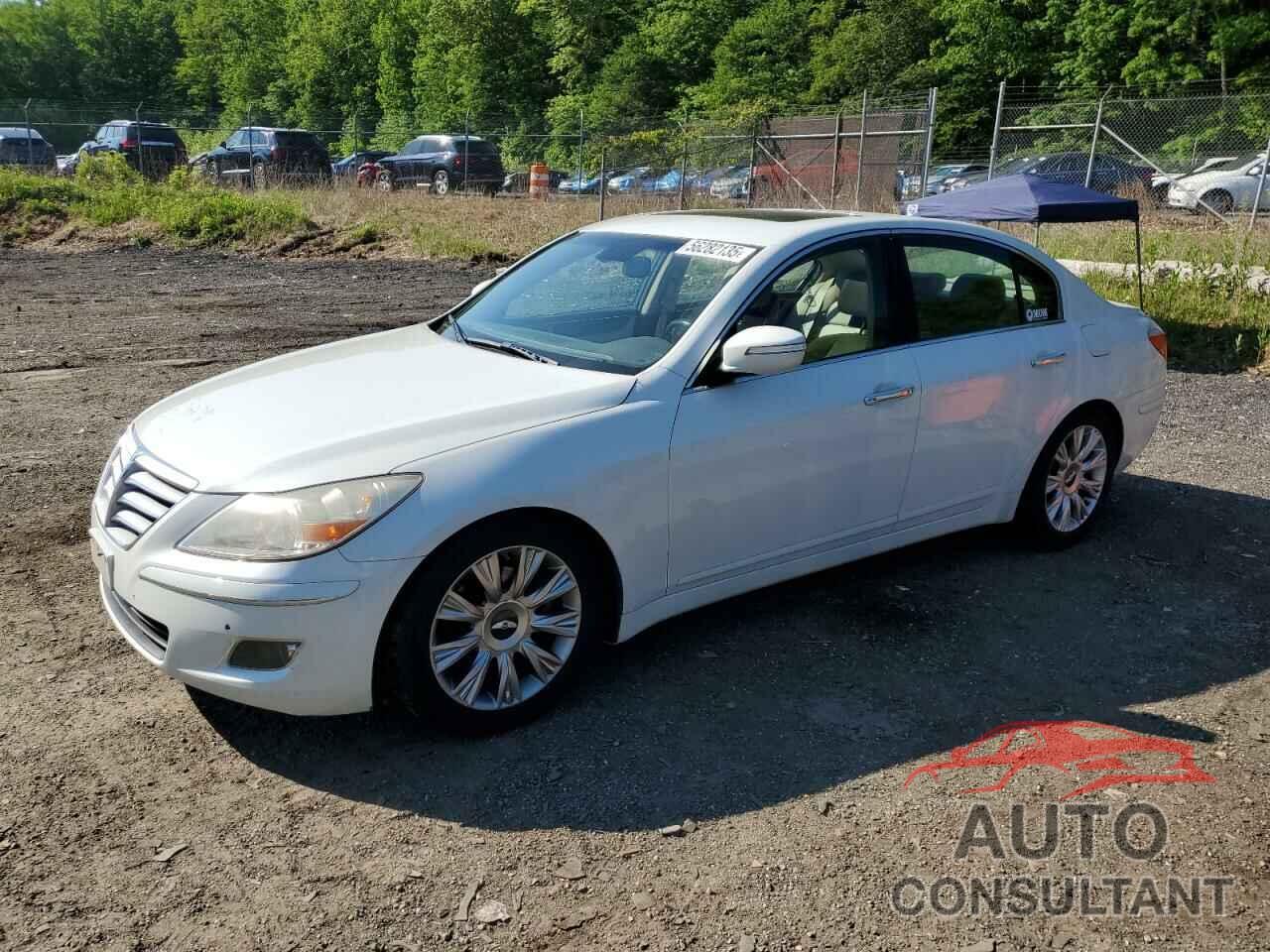 HYUNDAI GENESIS 2009 - KMHGC46E29U058063