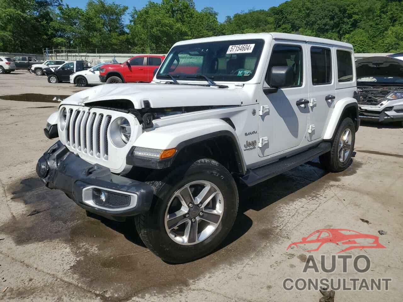JEEP WRANGLER 2021 - 1C4HJXEG2MW531489