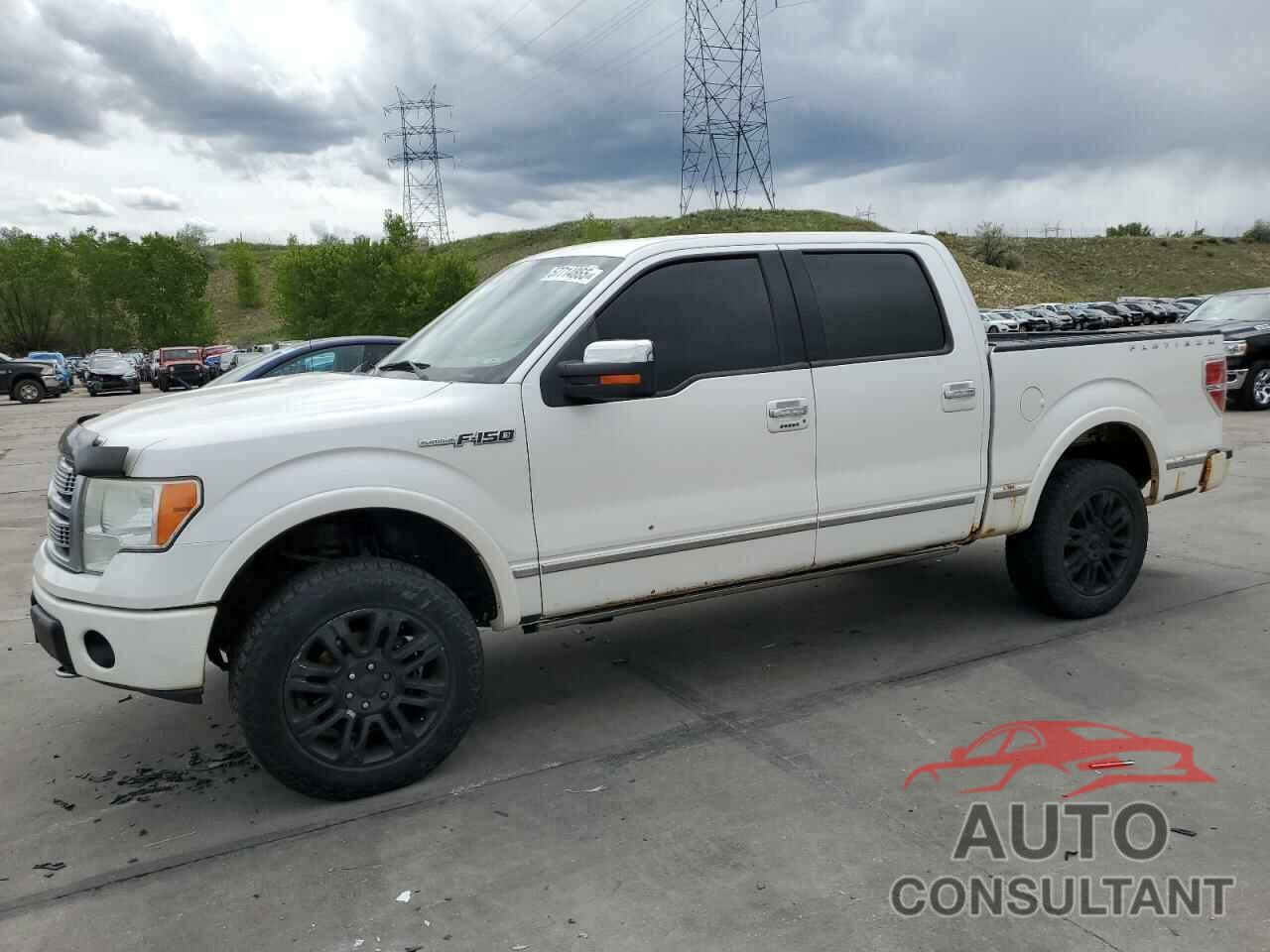 FORD F-150 2010 - 1FTFW1EV1AFB63225