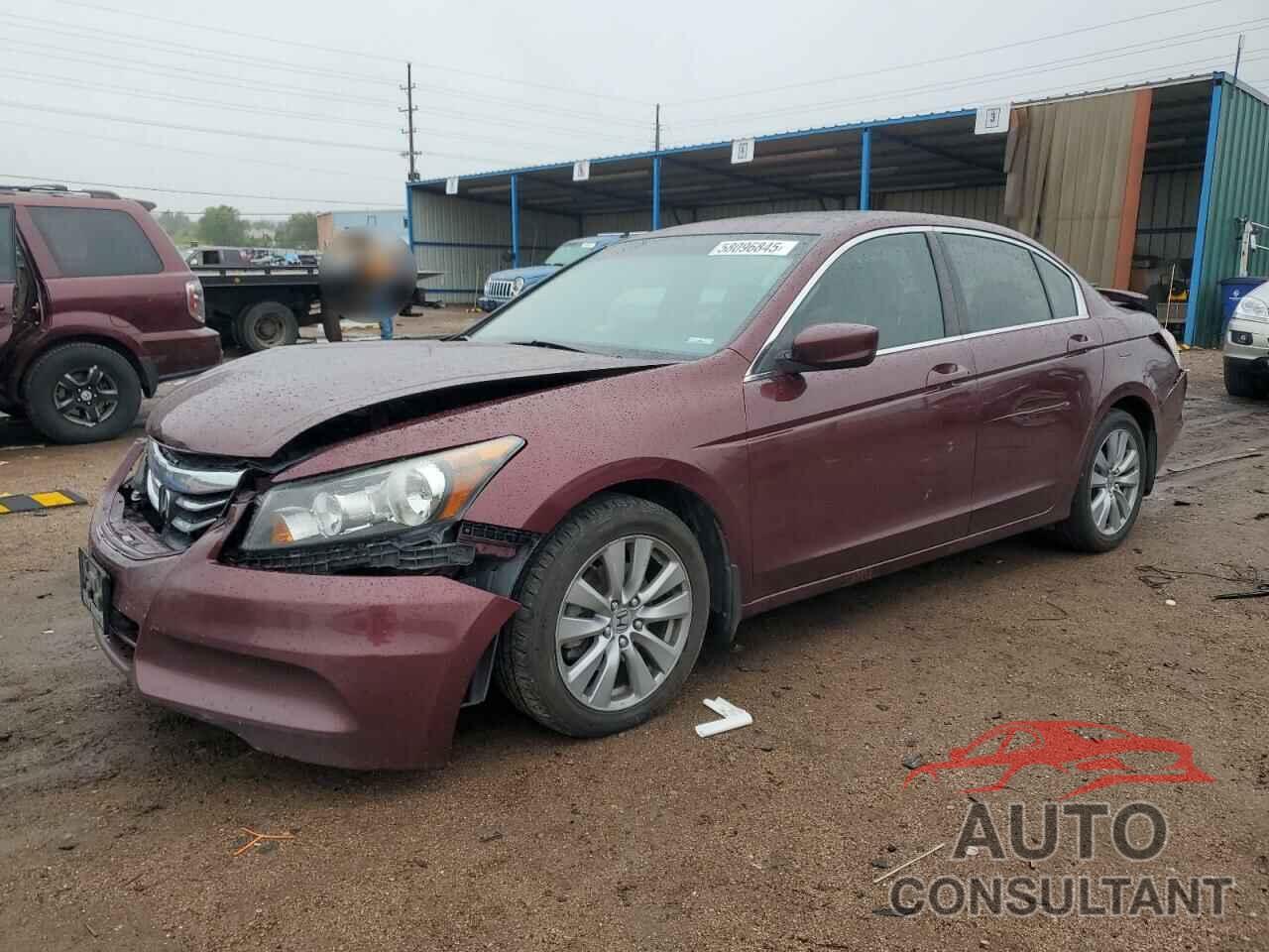 HONDA ACCORD 2011 - 1HGCP2F81BA131616