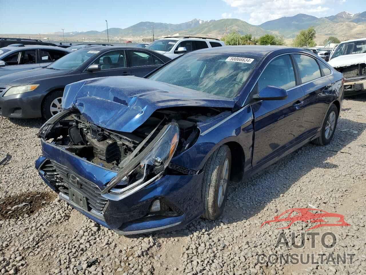 HYUNDAI SONATA 2019 - 5NPE24AF5KH800387