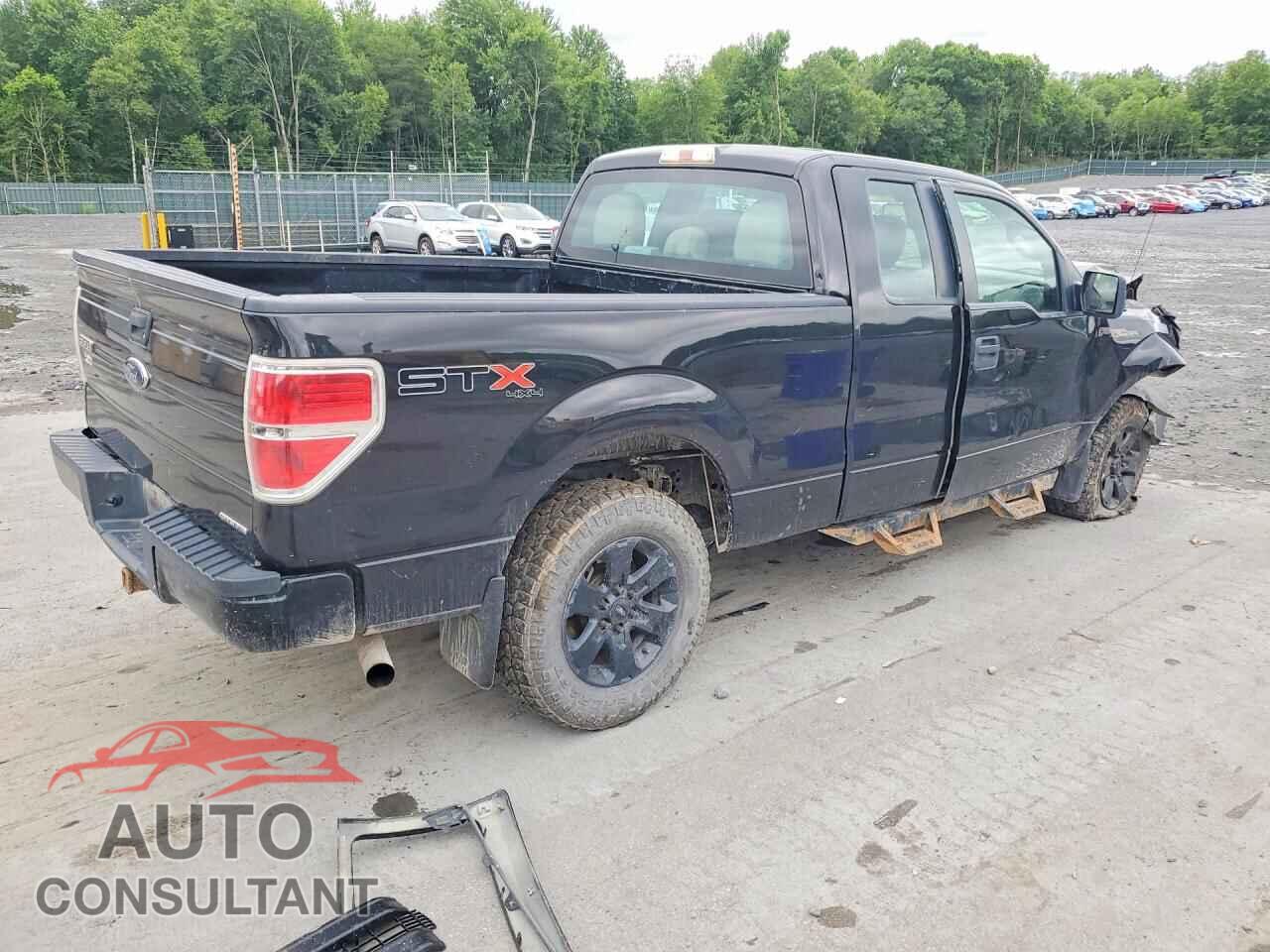 FORD F150 2013 - 1FTFX1EF0DFB56762