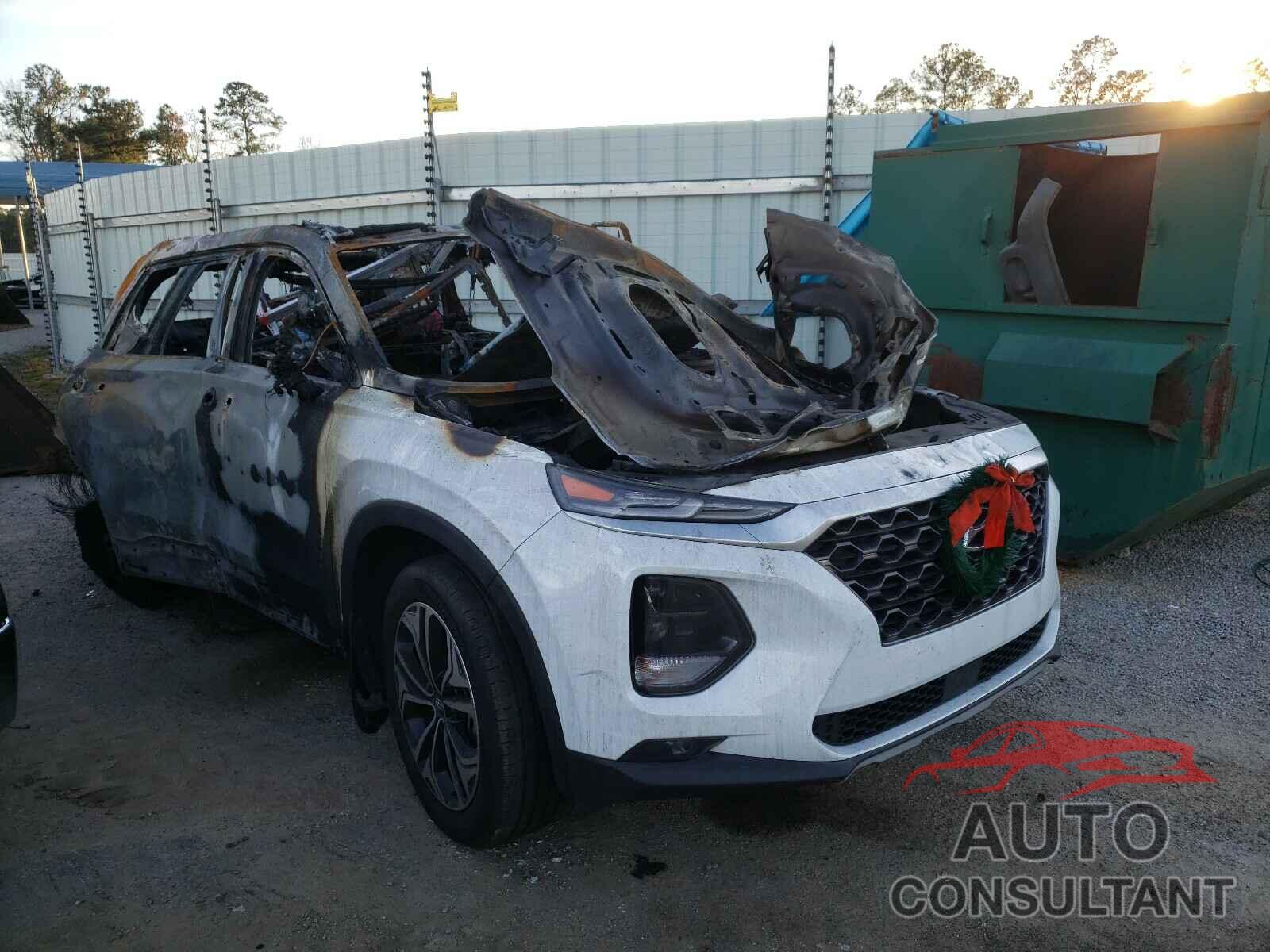 HYUNDAI SANTA FE 2019 - 5NMS53AA1KH109010