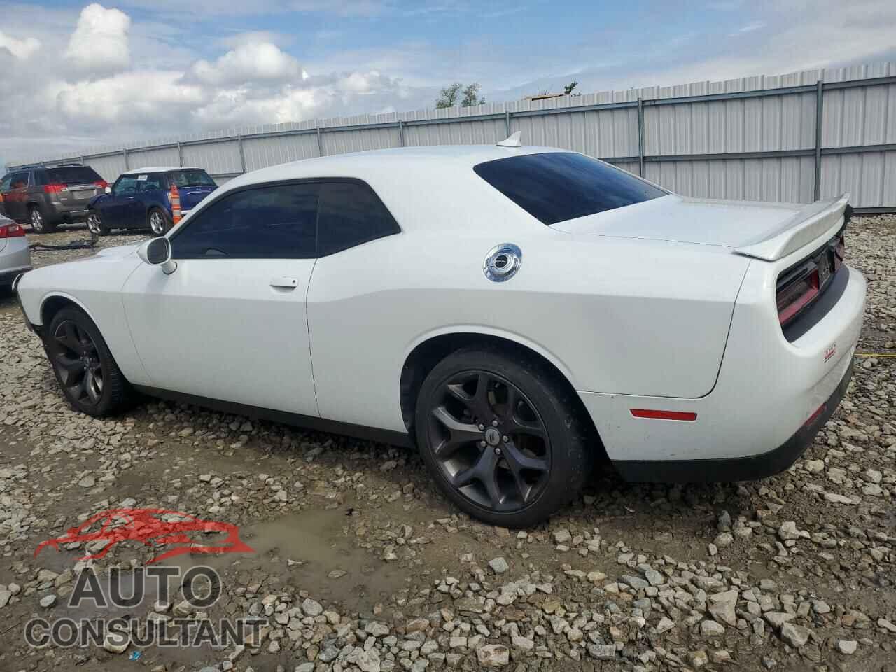 DODGE CHALLENGER 2019 - 2C3CDZAG9KH524252
