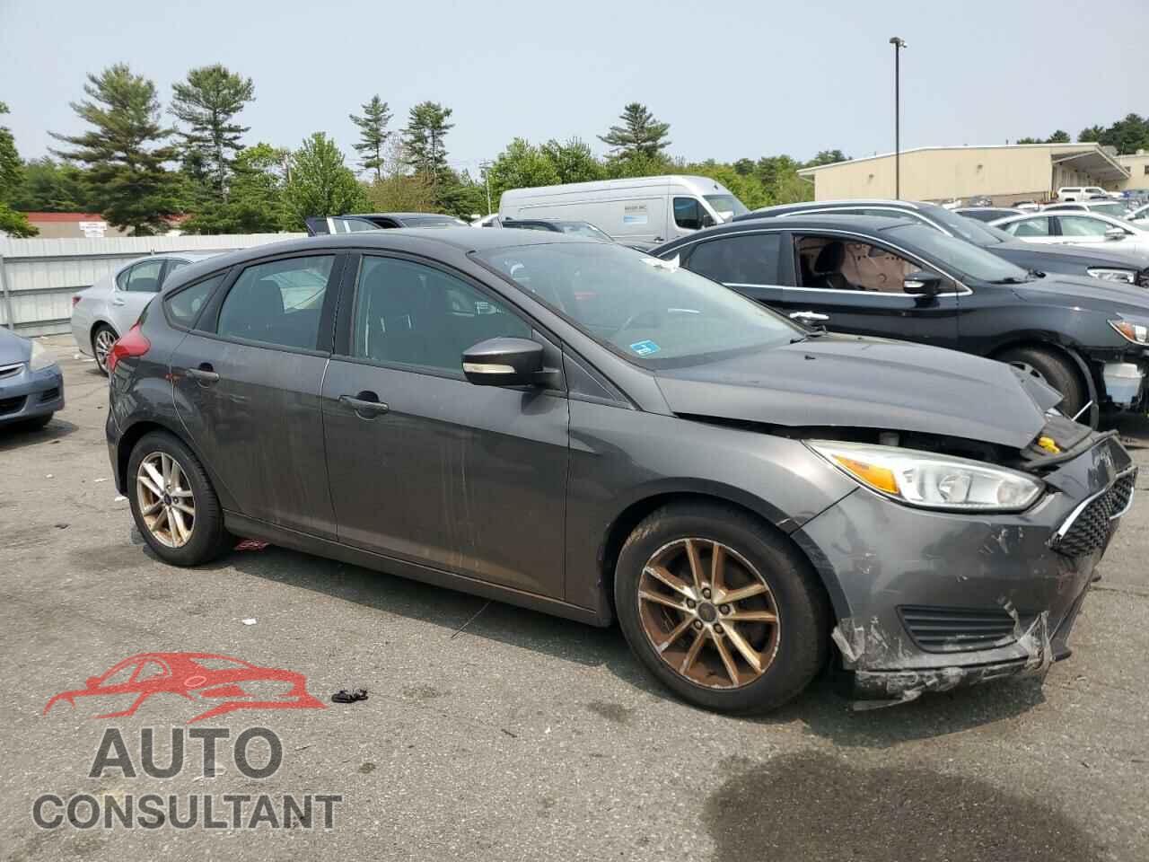 FORD FOCUS 2016 - 1FADP3K29GL344924