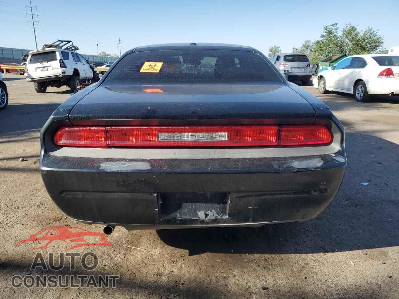 DODGE CHALLENGER 2012 - 2C3CDYAG3CH294428