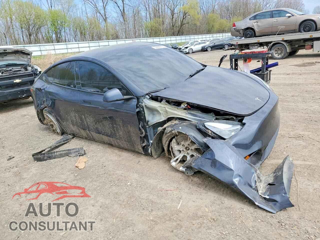 TESLA MODEL Y 2024 - 7SAYGDEE3RF030802