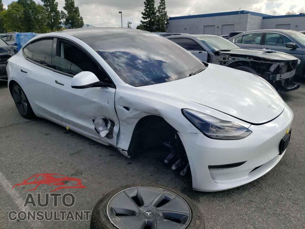 TESLA MODEL 3 2021 - 5YJ3E1EA3MF002726