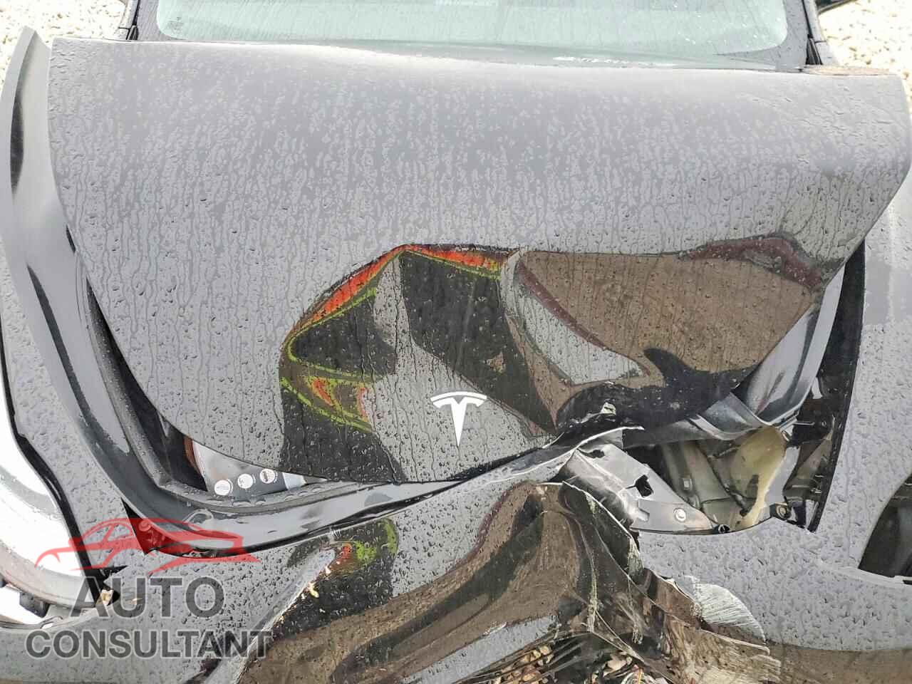 TESLA MODEL 3 2021 - 5YJ3E1EB2MF003181