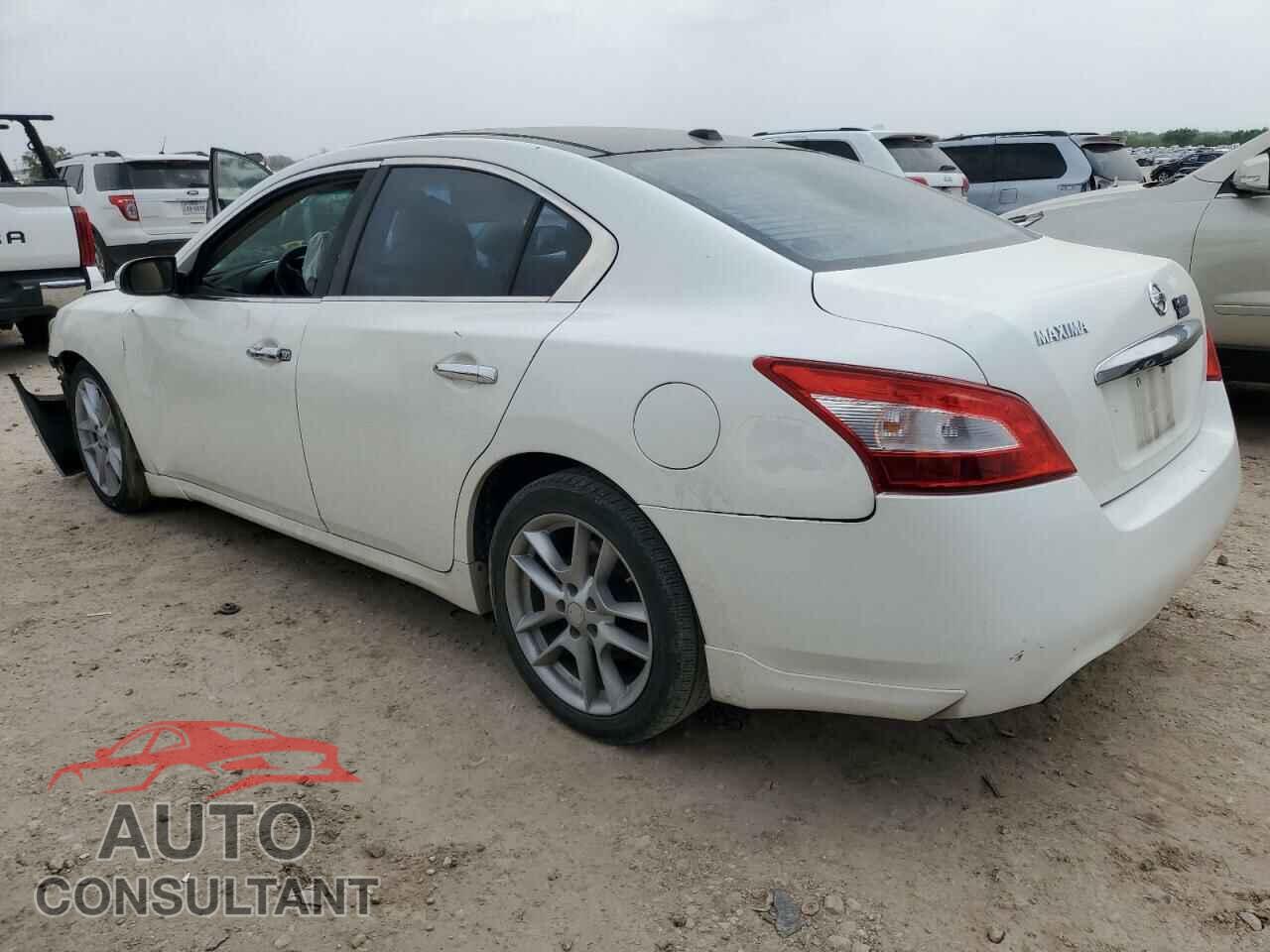 NISSAN MAXIMA 2011 - 1N4AA5AP8BC831795