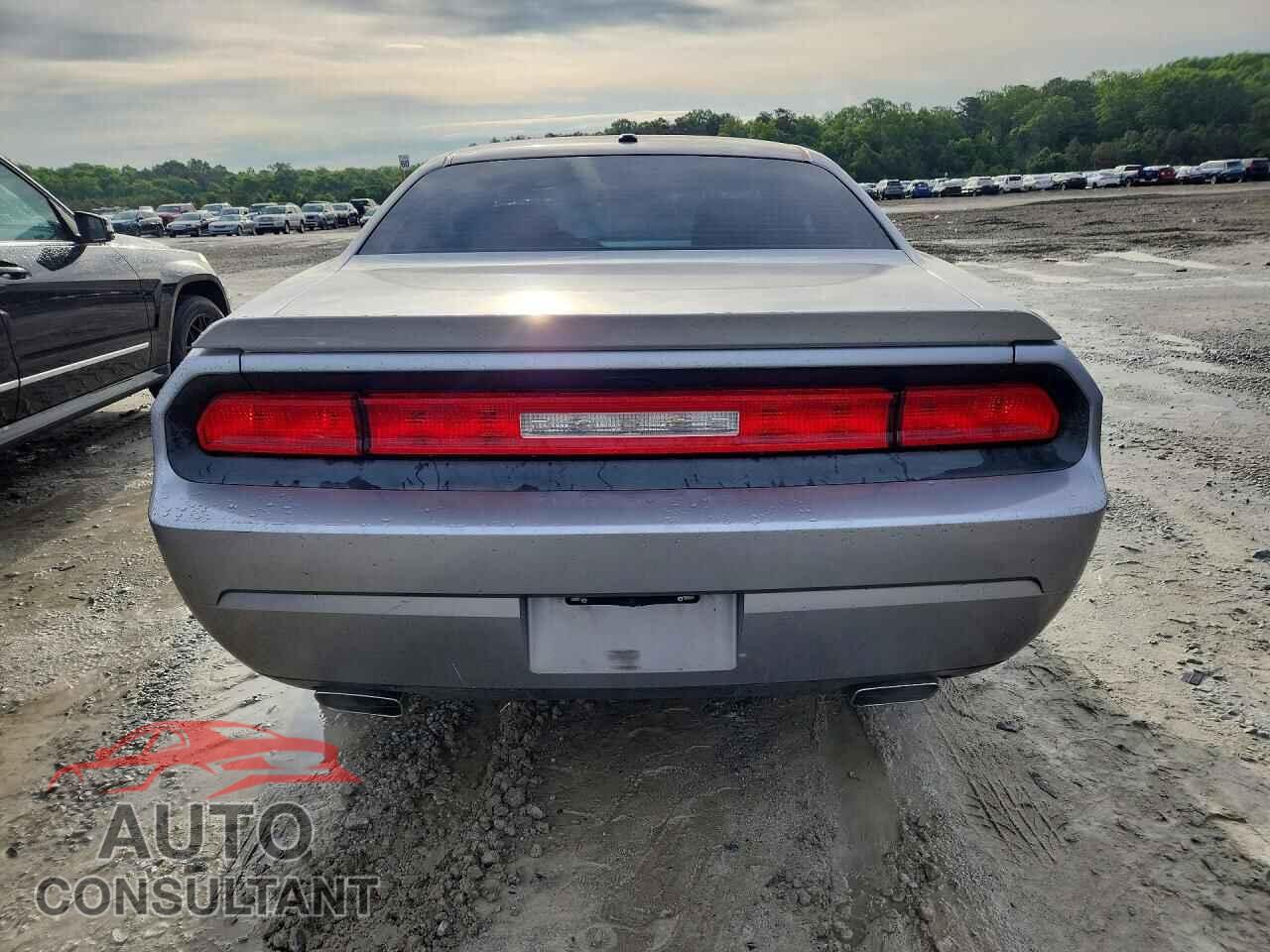 DODGE CHALLENGER 2014 - 2C3CDYAG9EH302311