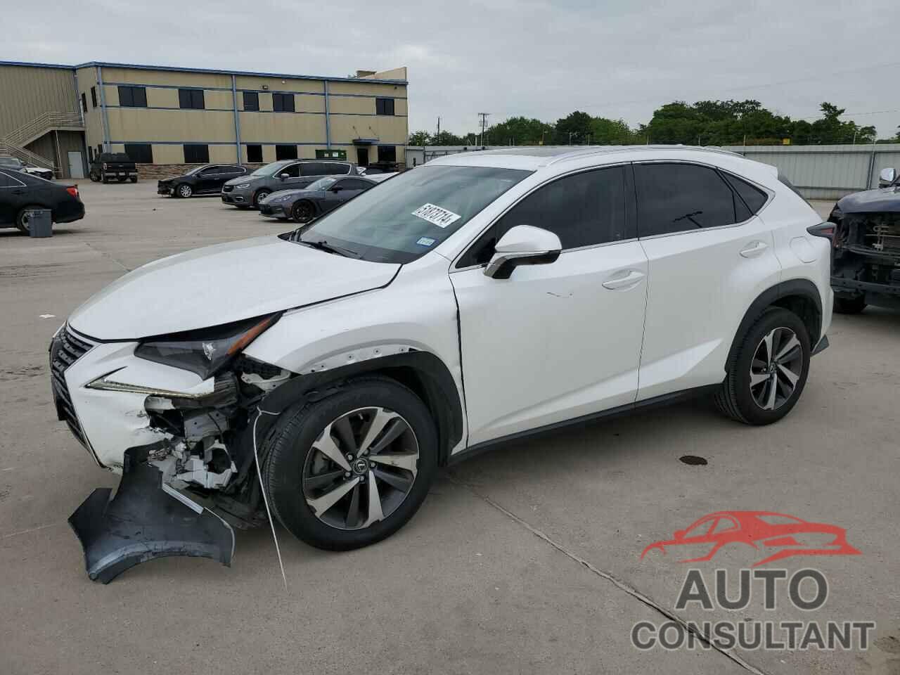 LEXUS NX 2019 - JTJYARBZ3K2137485