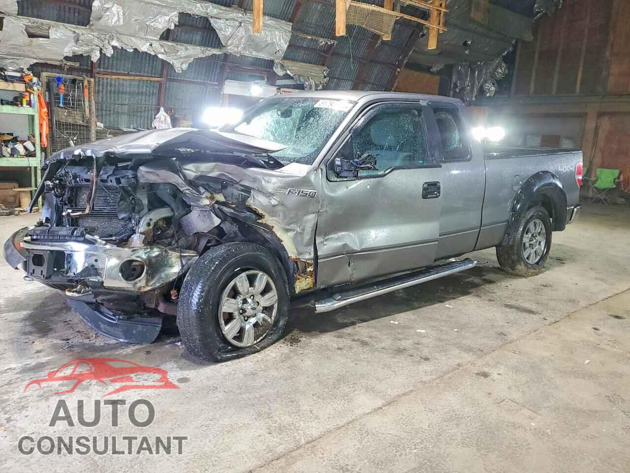 FORD F150 2012 - 1FTFX1EF3CFB78771