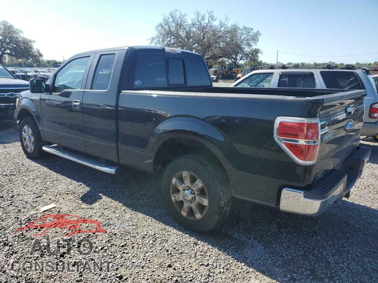 FORD F-150 2013 - 1FTFX1CF6DFD91217