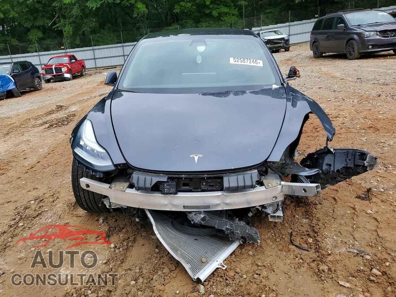 TESLA MODEL 3 2019 - 5YJ3E1EA3KF434729