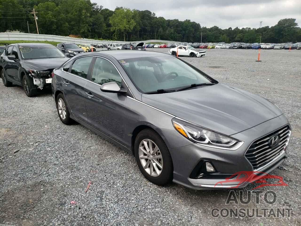 HYUNDAI SONATA 2019 - 5NPE24AF6KH775404