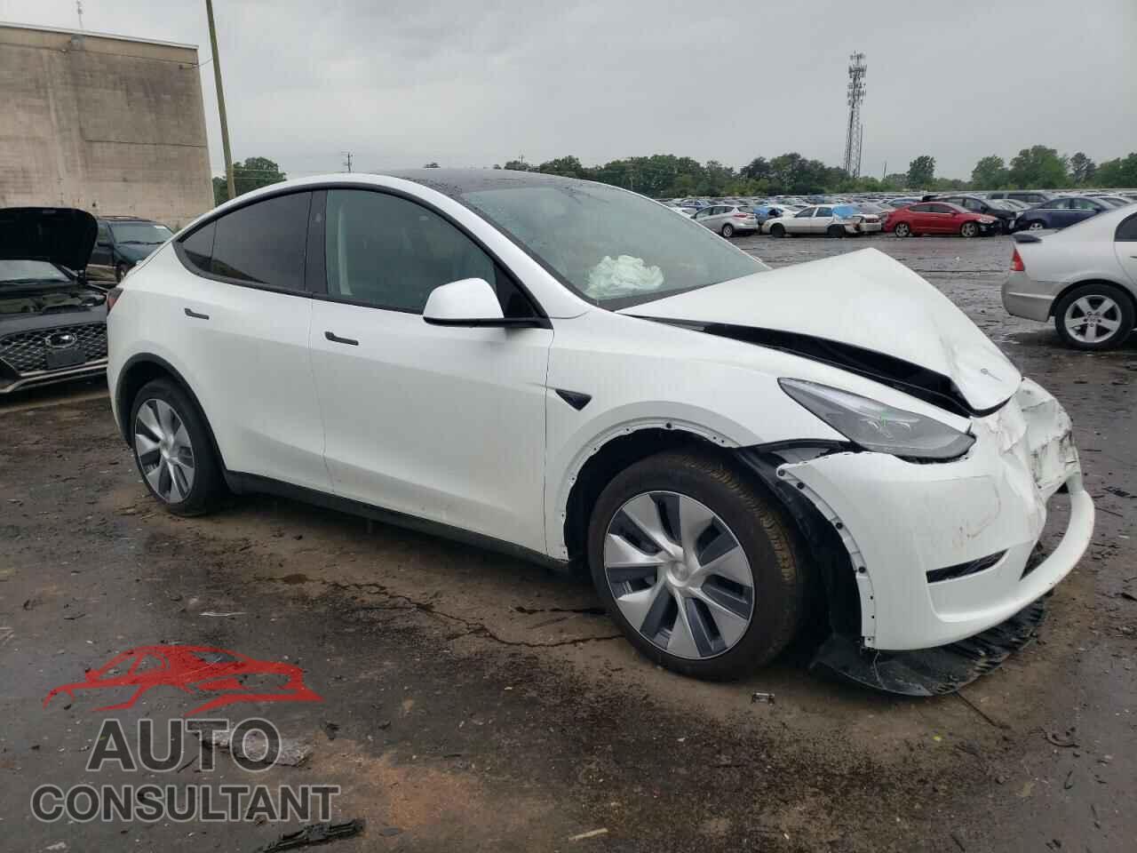 TESLA MODEL Y 2024 - 7SAYGDEEXRF995883