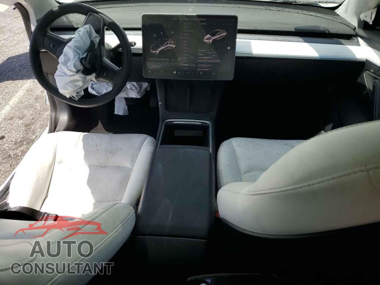 TESLA MODEL 3 2021 - 5YJ3E1EA3MF031305