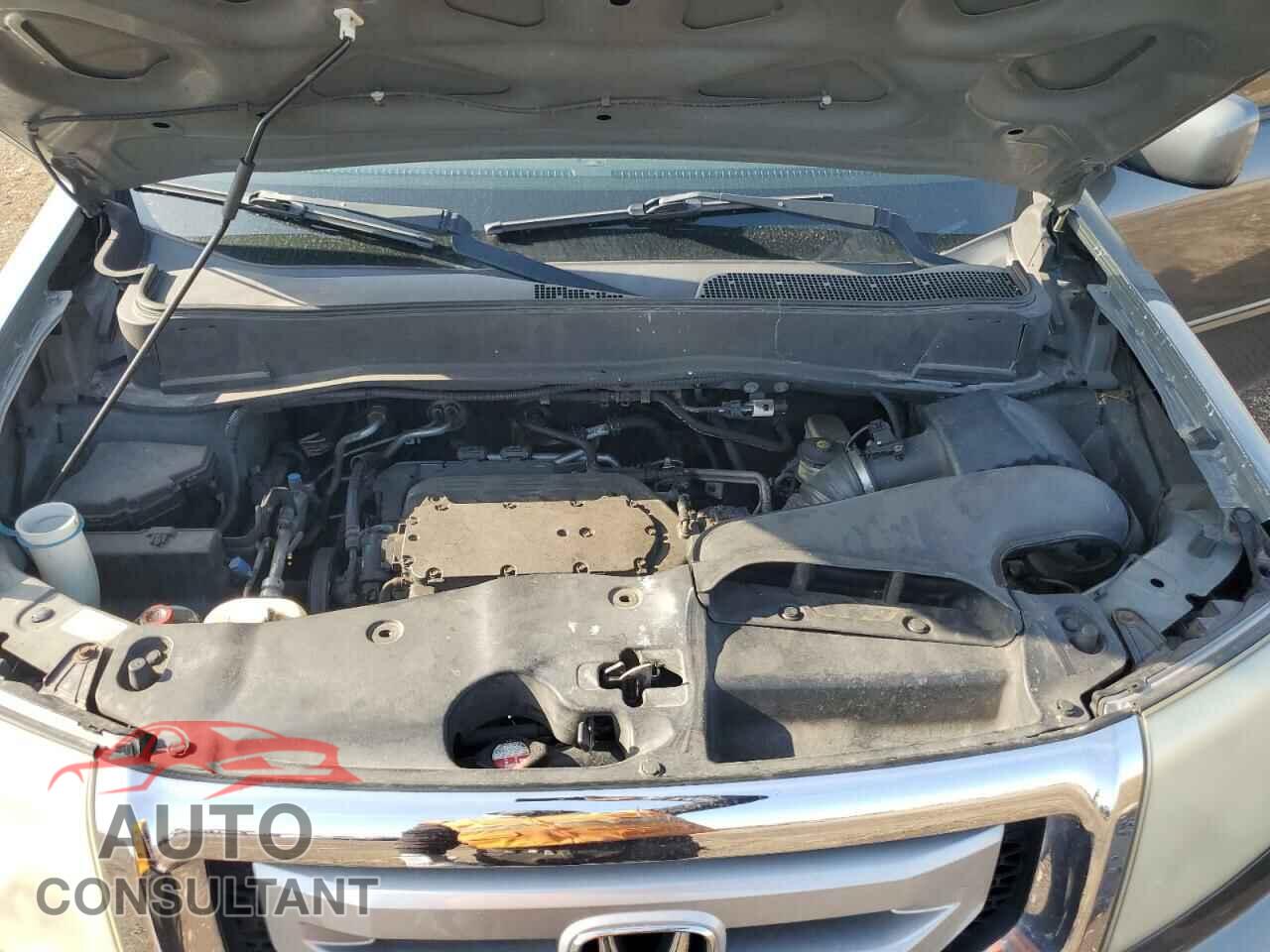 HONDA PILOT 2009 - 5FNYF48589B019712