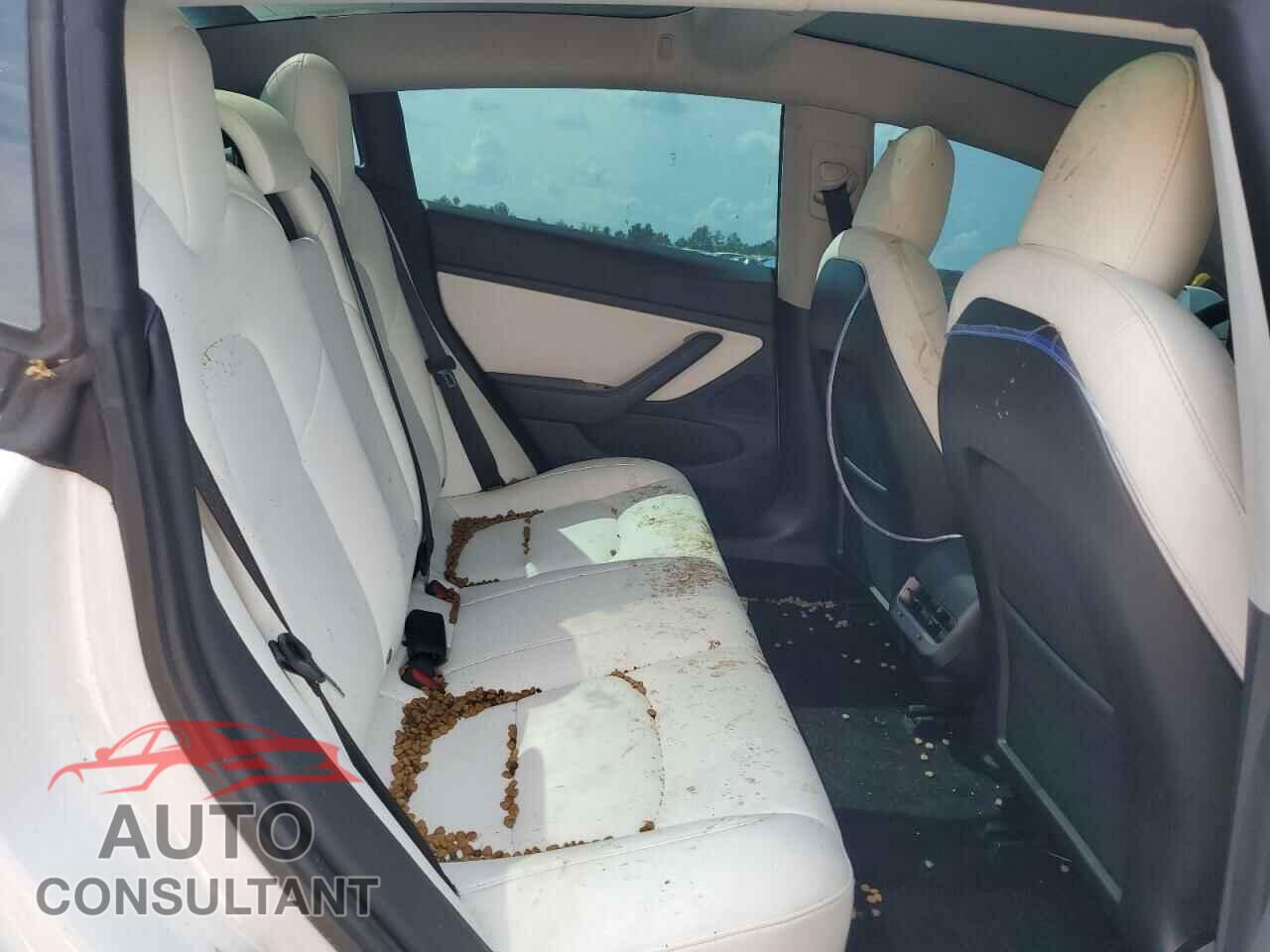 TESLA MODEL 3 2020 - 5YJ3E1EA4LF635007