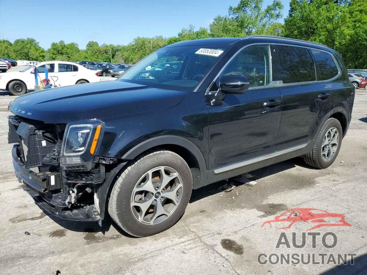 KIA TELLURIDE 2021 - 5XYP3DHC8MG128658