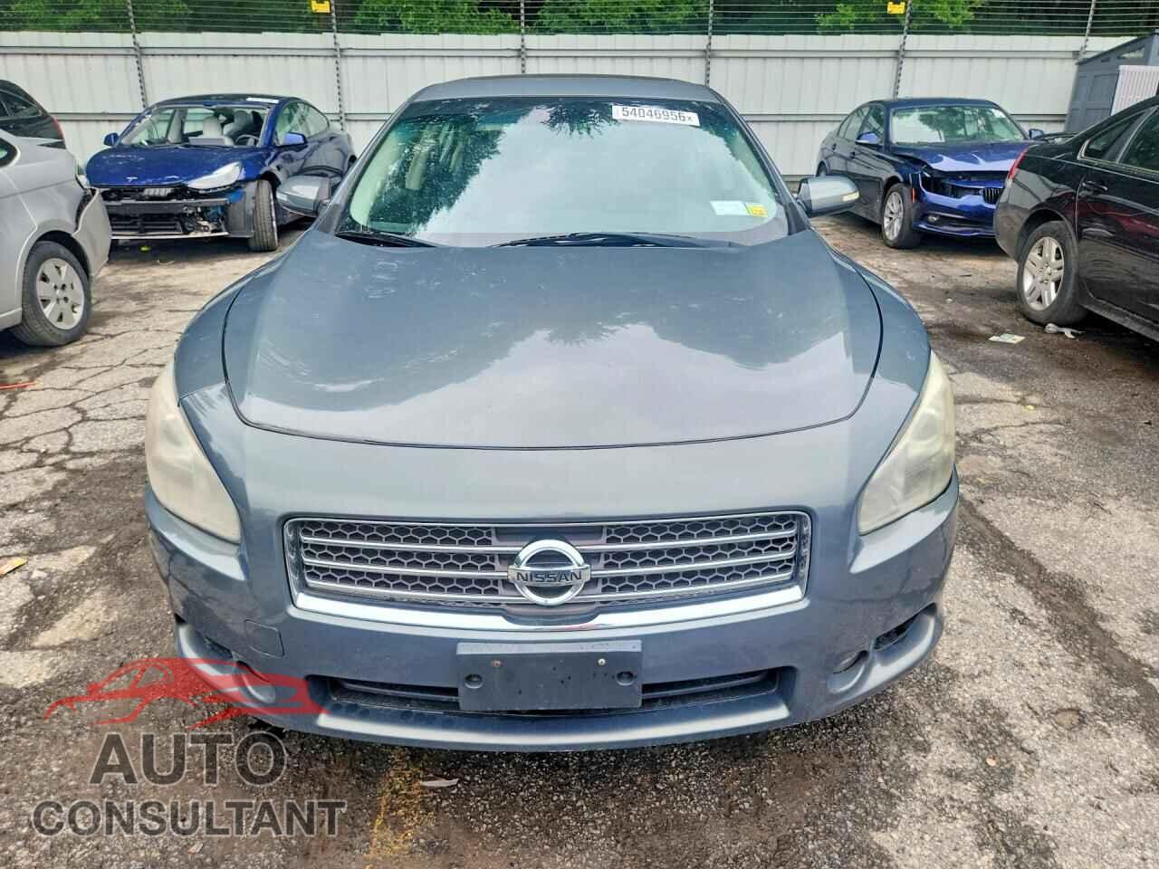NISSAN MAXIMA 2011 - 1N4AA5AP1BC853458