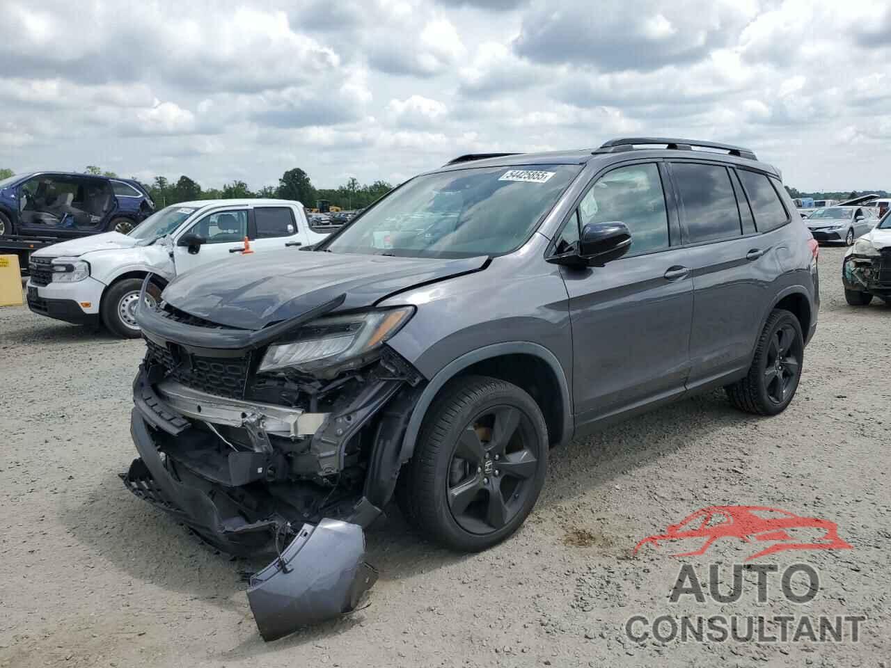HONDA PASSPORT 2019 - 5FNYF8H05KB016252