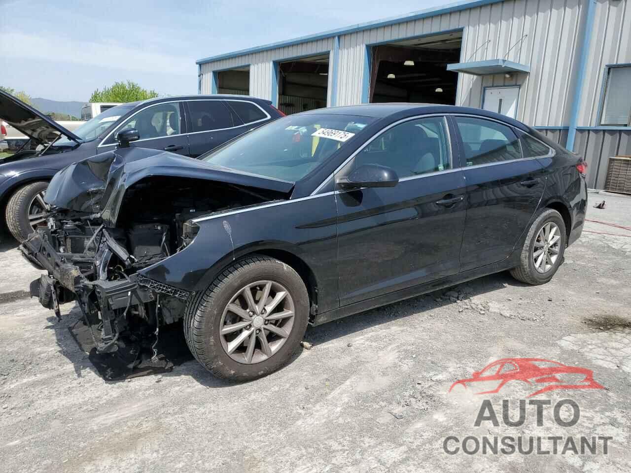HYUNDAI SONATA 2019 - 5NPE24AF7KH736272
