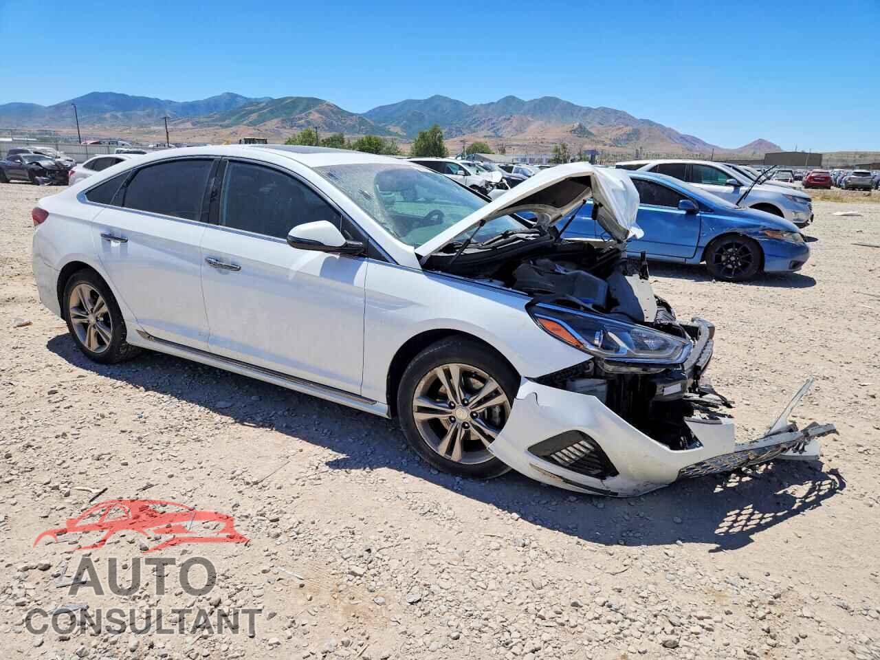 HYUNDAI SONATA 2019 - 5NPE34AF7KH810836