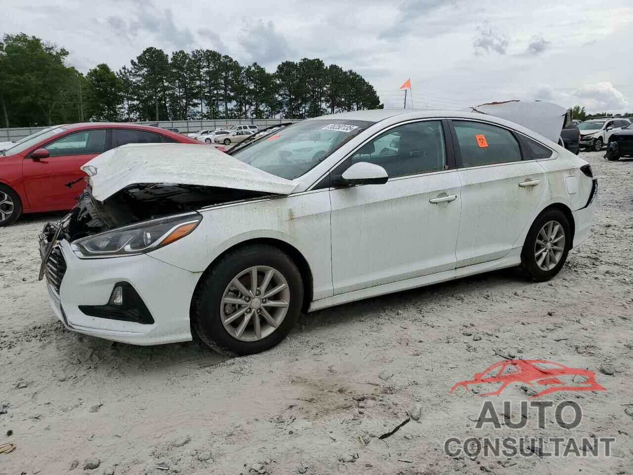 HYUNDAI SONATA 2019 - 5NPE24AF8KH793273