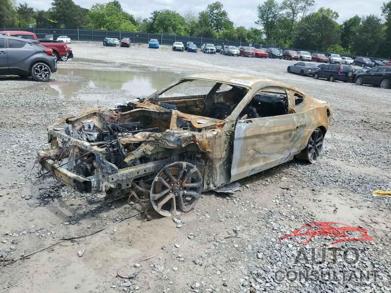 FORD MUSTANG 2019 - 1FA6P8CF3K5199495