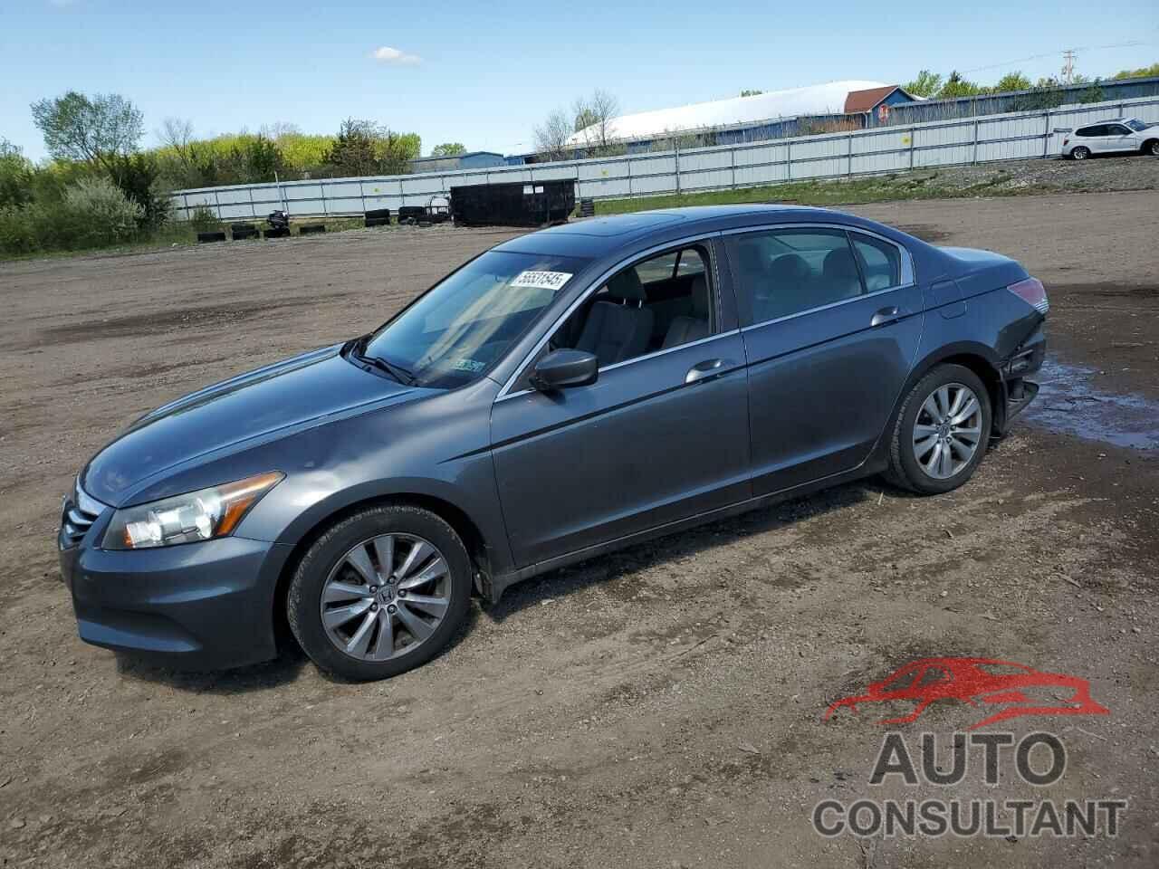 HONDA ACCORD 2011 - 1HGCP2F85BA049307