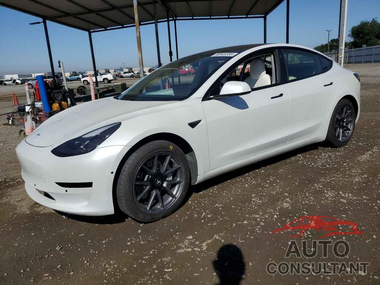 TESLA MODEL 3 2021 - 5YJ3E1EA1MF987611