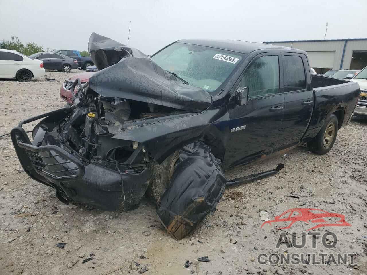 DODGE All Models 2010 - 1D7RV1GP1AS236041