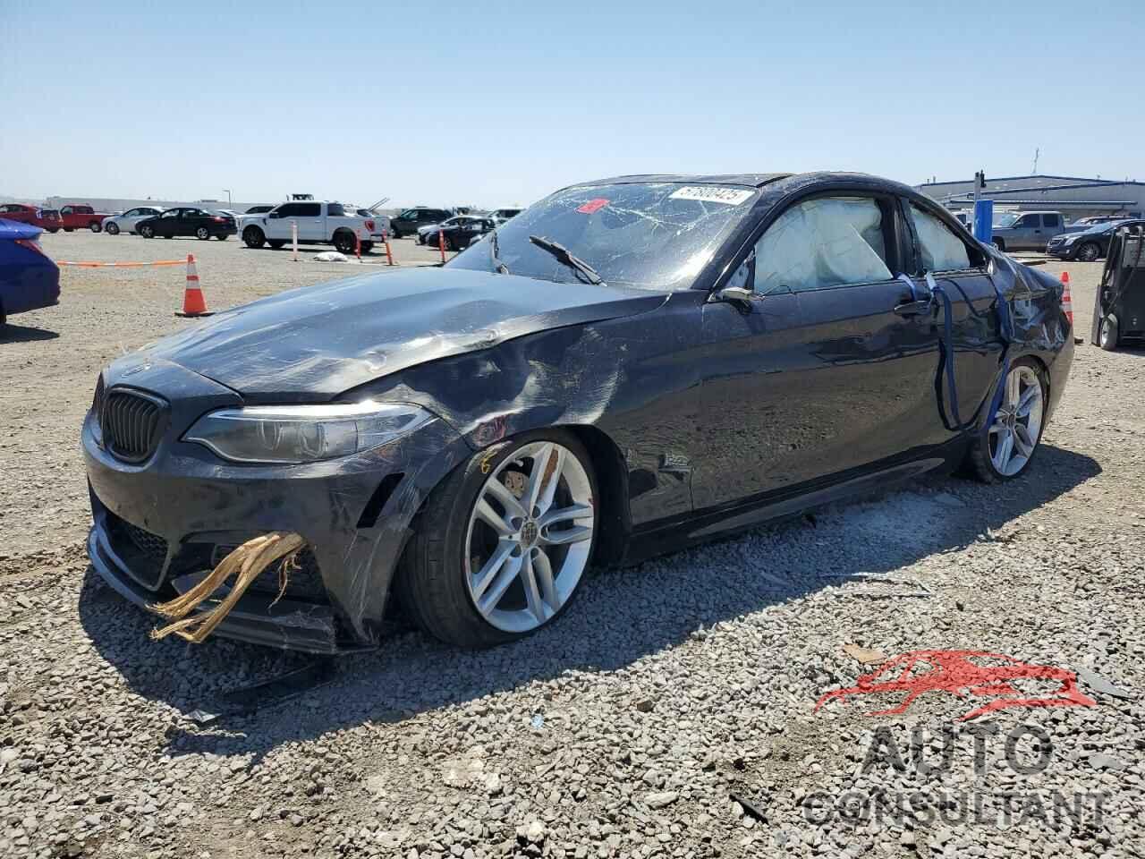 BMW 2 SERIES 2016 - WBA1F9C53GV546624