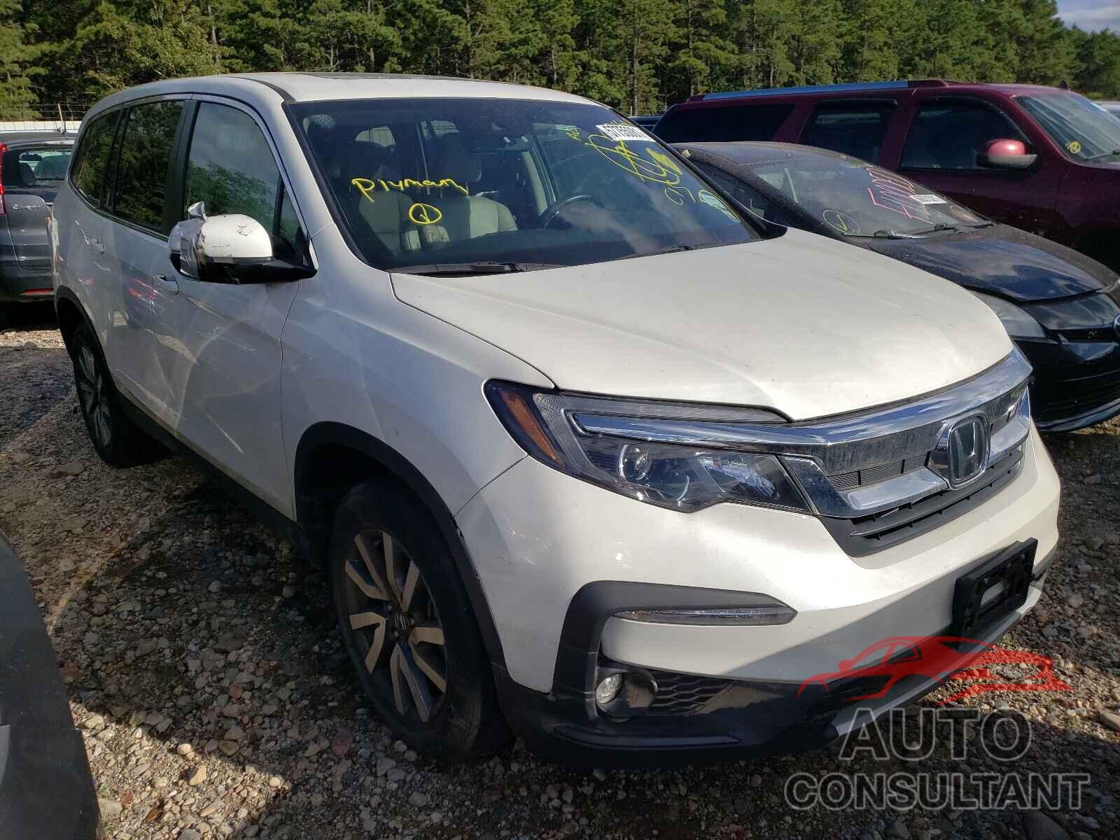 HONDA PILOT 2019 - 5FNYF6H53KB048813