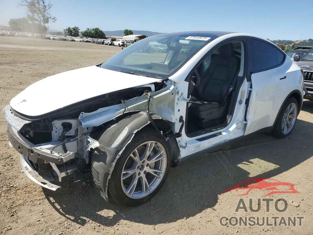 TESLA MODEL Y 2024 - 7SAYGDEE0RF983516