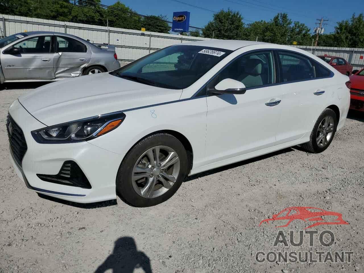 HYUNDAI SONATA 2018 - 5NPE34AF4JH615923