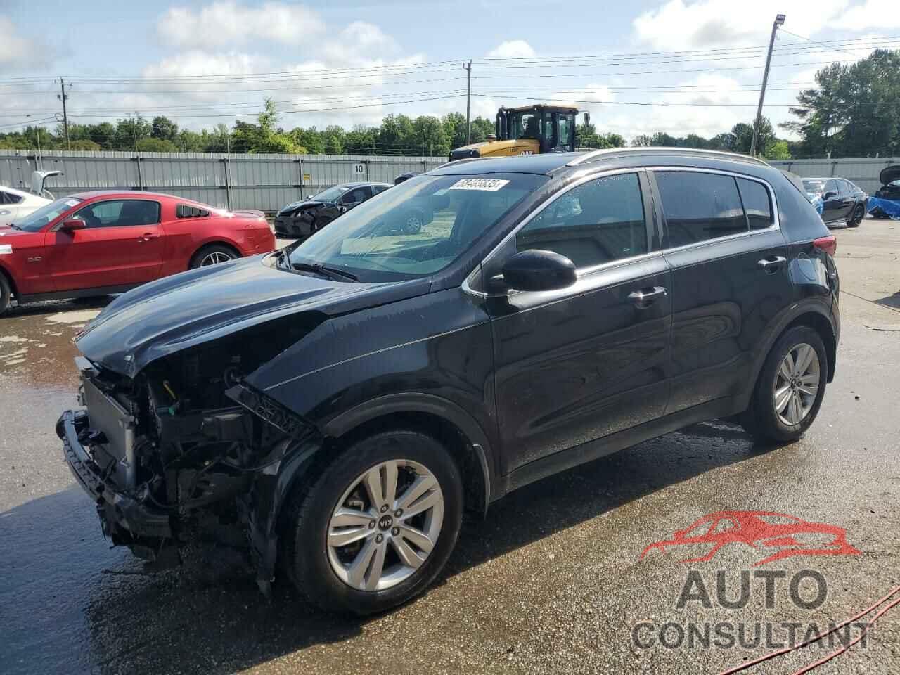 KIA SPORTAGE 2017 - KNDPM3AC8H7074069