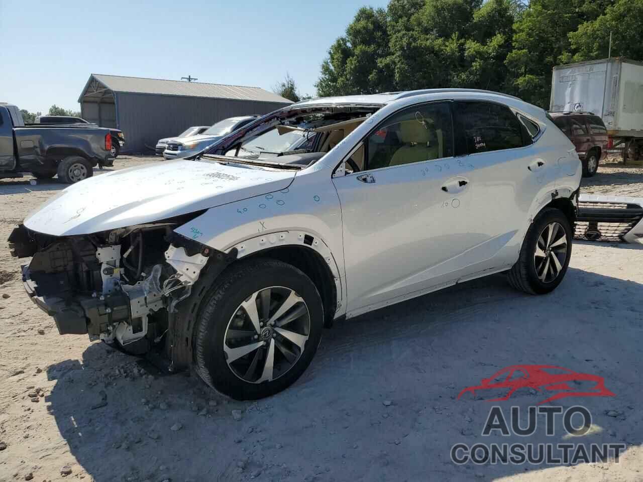 LEXUS NX 2019 - JTJYARBZ2K2124226