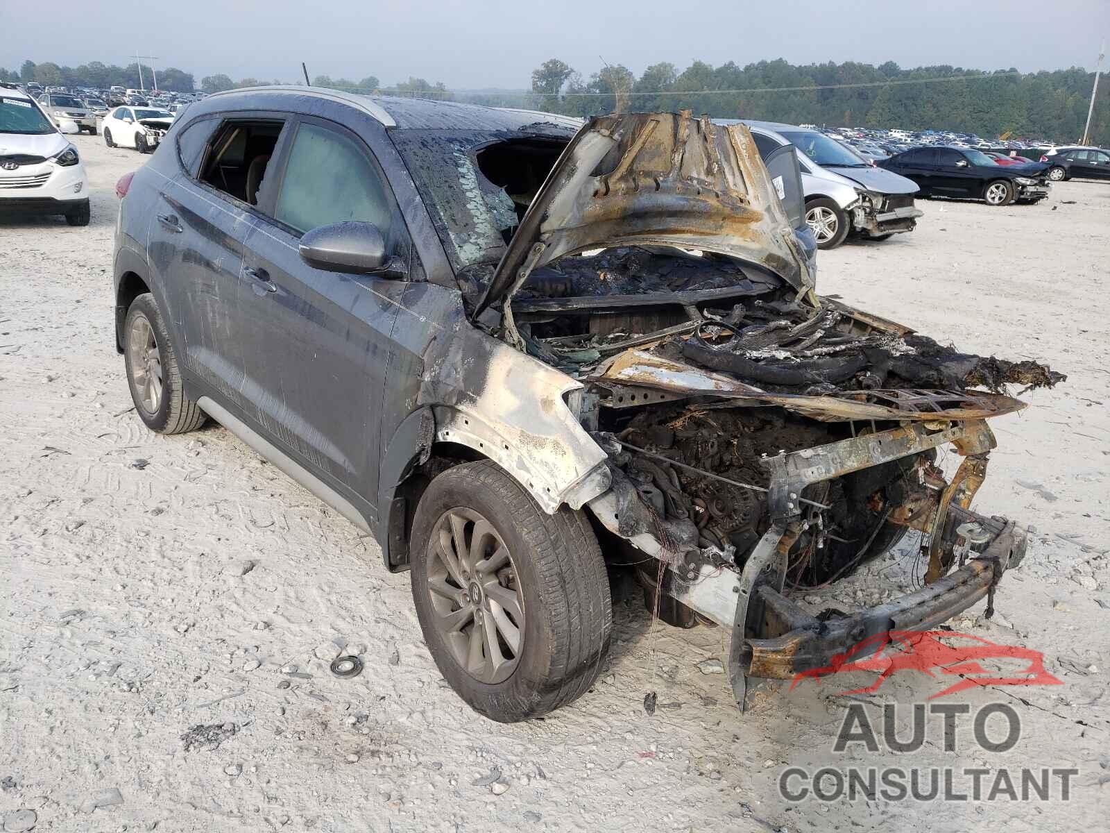 HYUNDAI TUCSON 2017 - KM8J33A44HU477464