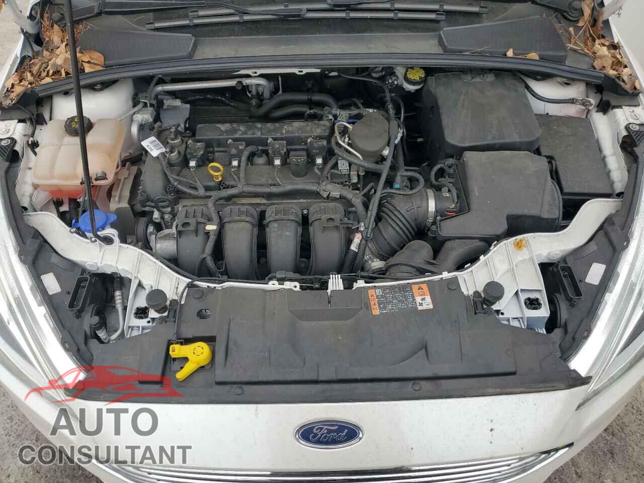 FORD FOCUS 2015 - 1FADP3J24FL324841