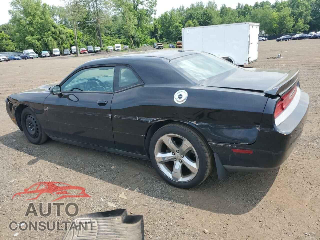DODGE CHALLENGER 2013 - 2C3CDYAG9DH653332