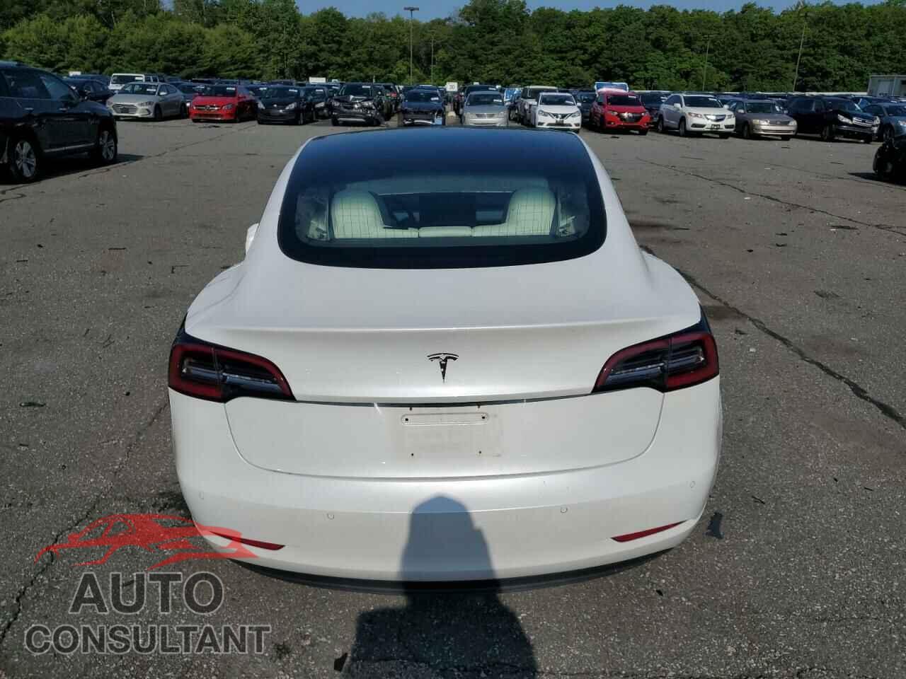 TESLA MODEL 3 2020 - 5YJ3E1EB2LF791569