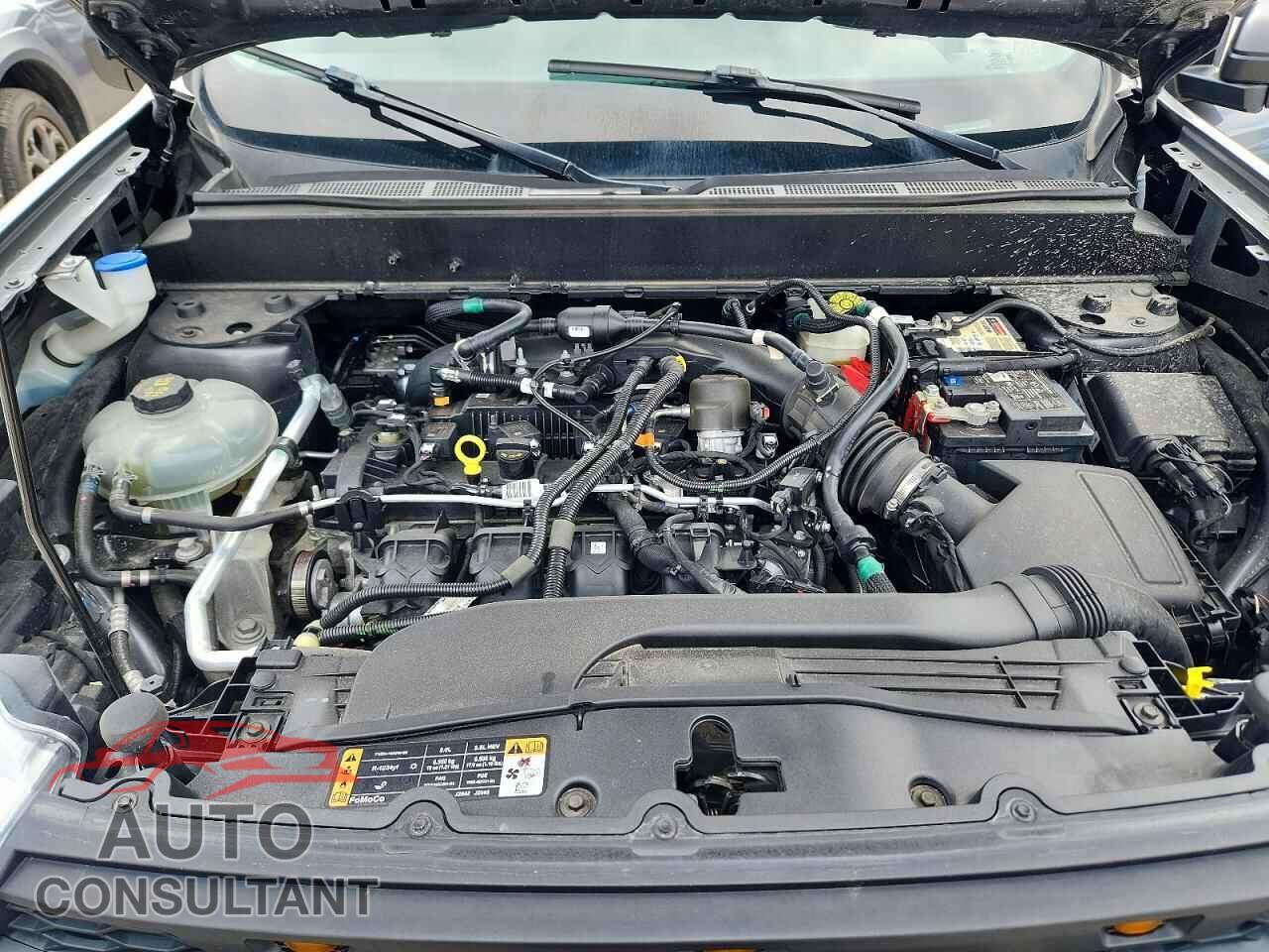 FORD MAVERICK 2022 - 3FTTW8F91NRB11096